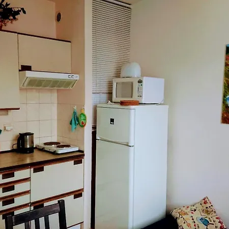 Apartmany U Lipno Frymburk Exterior photo