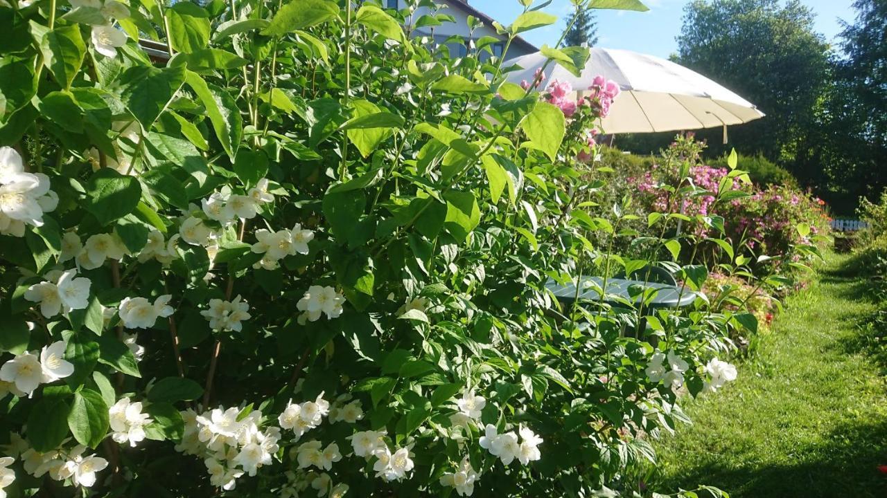 Apartment U Lipno Frymburk