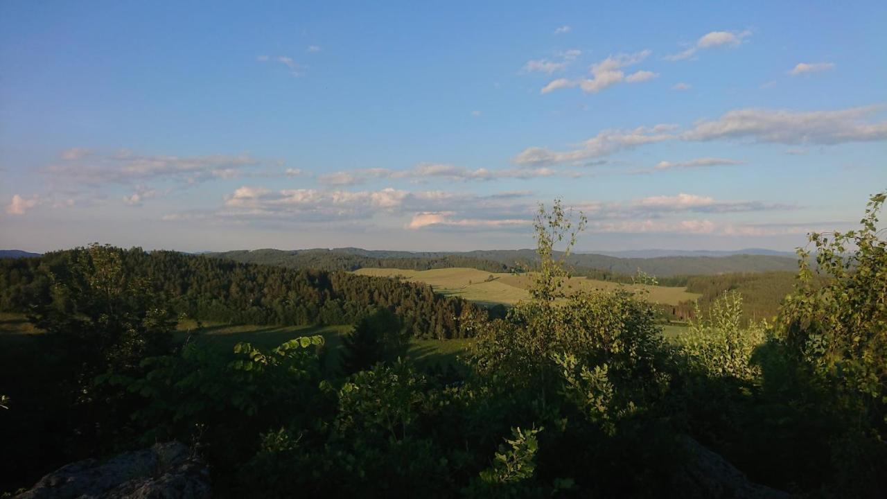 U Lipno Apartment Frymburk