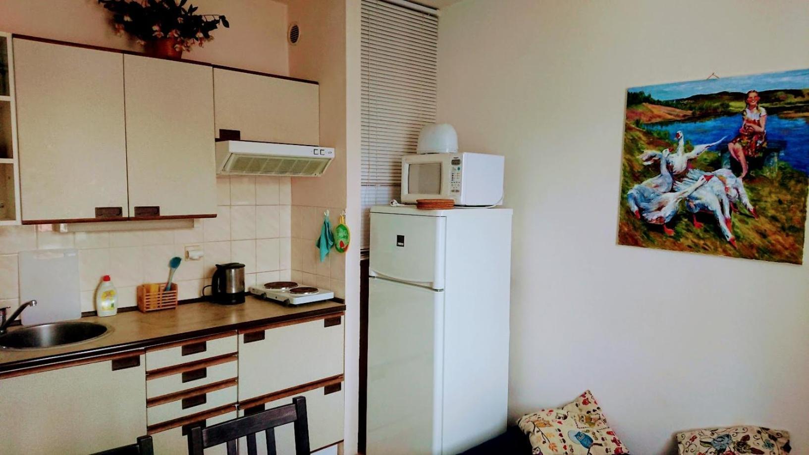 U Lipno Apartment Frymburk