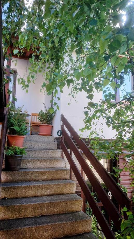 U Lipno Apartment Frymburk