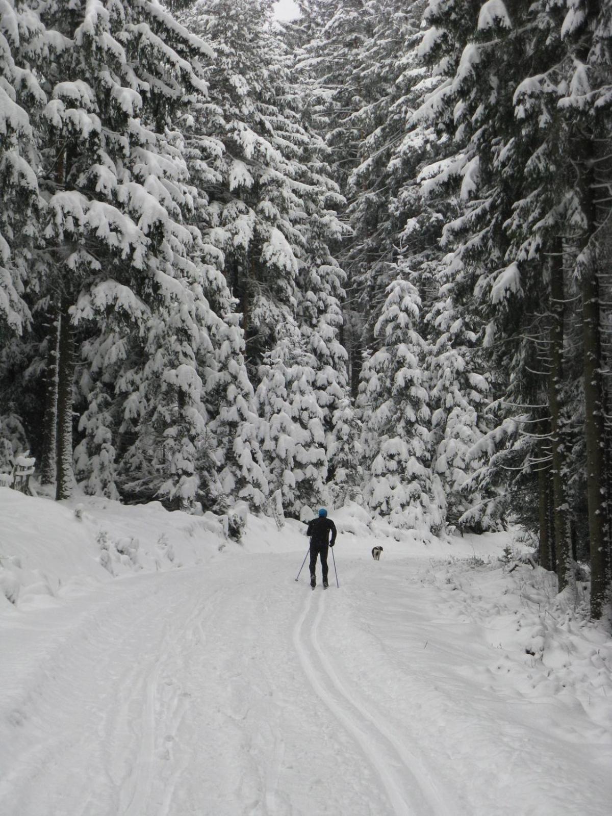 U Lipno * Frymburk