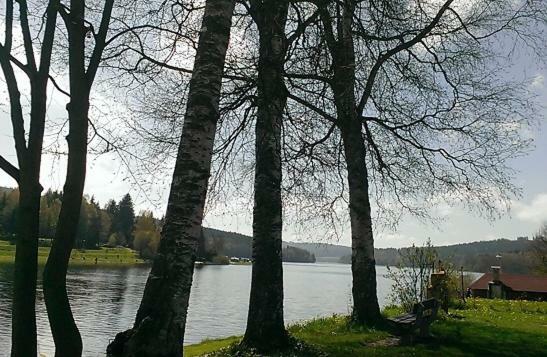 U Lipno